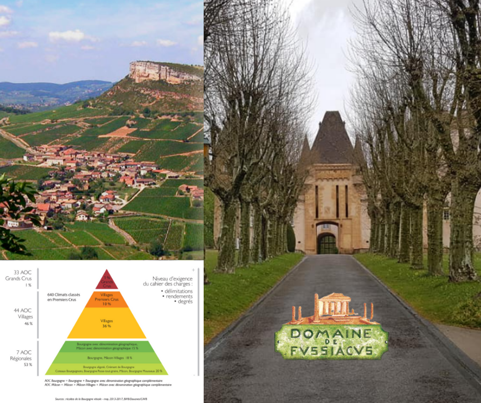 Domaine de Fussiacus - carte viticole, vignobles et château