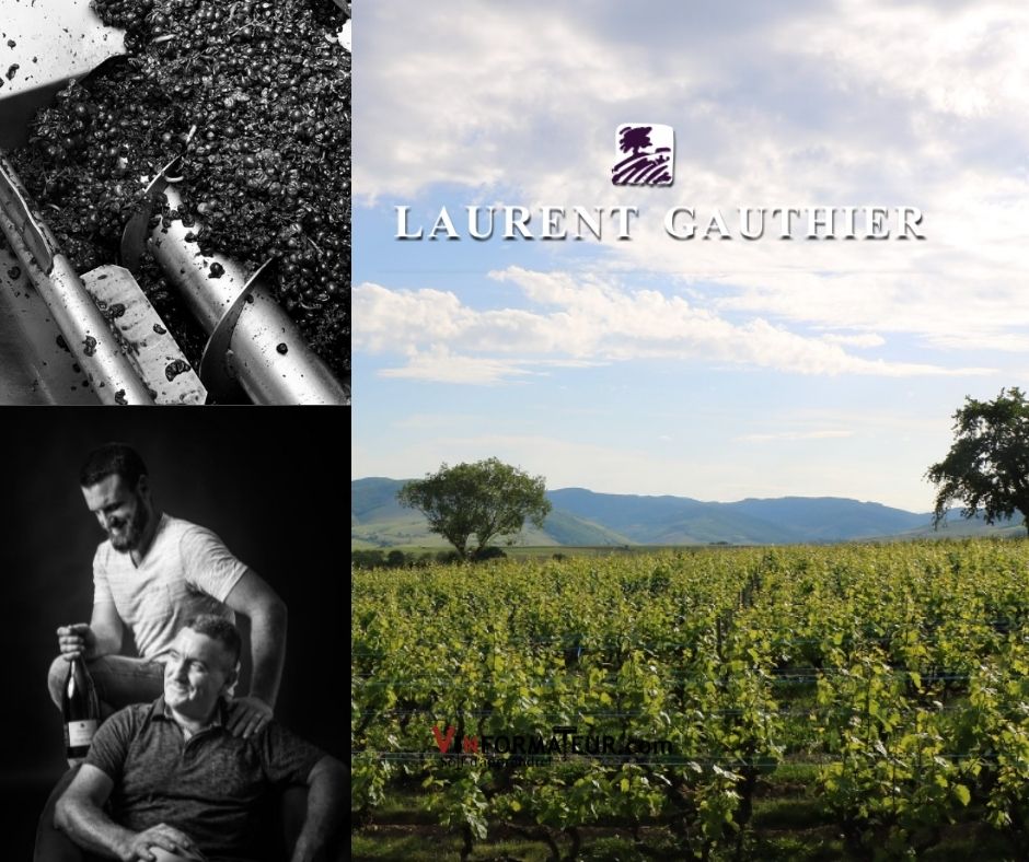 Domaine Laurent Gauthier