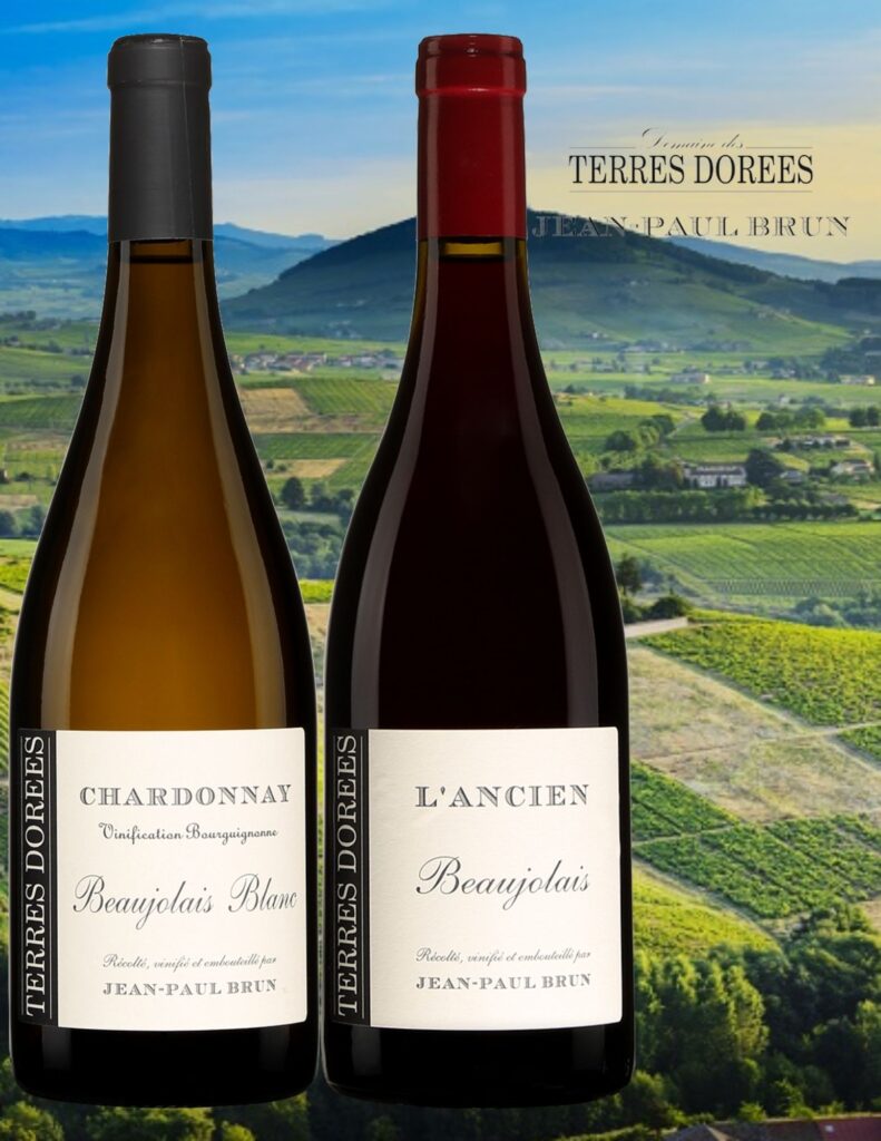 Bouteilles de Jean-Paul Brun, Beaujolais blanc, Chardonnay, 2019, L’Ancien, Beaujolais, Terres Dorées, 2019 avec vignobles