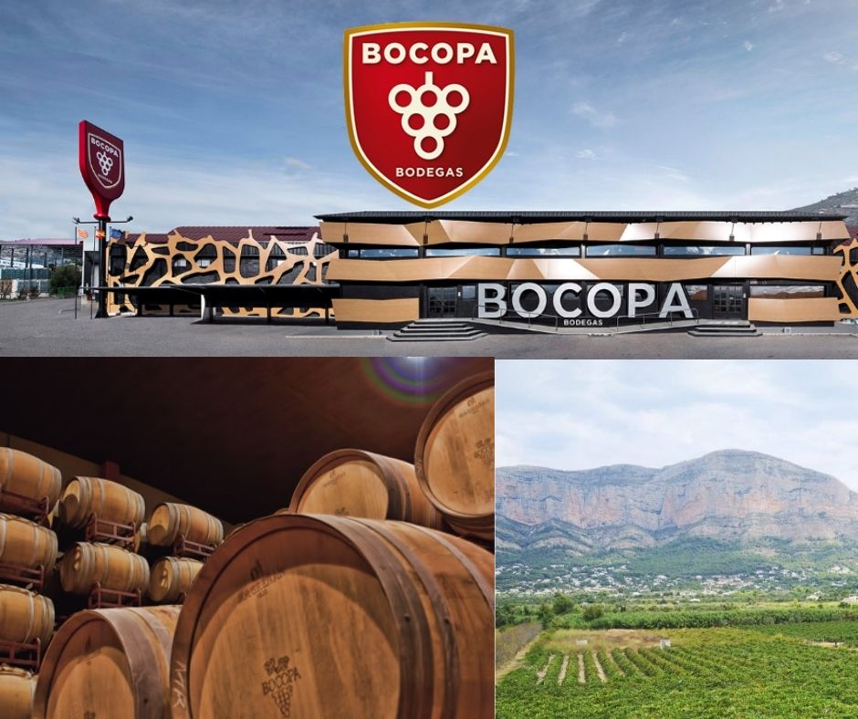 Bodegas Bocopa, bureaux, chai et vignobles