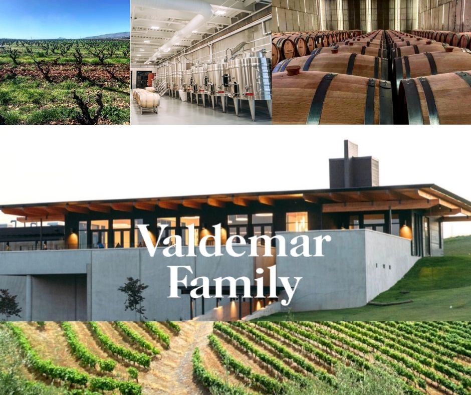 Bodegas Valdemar, vignobles, chai