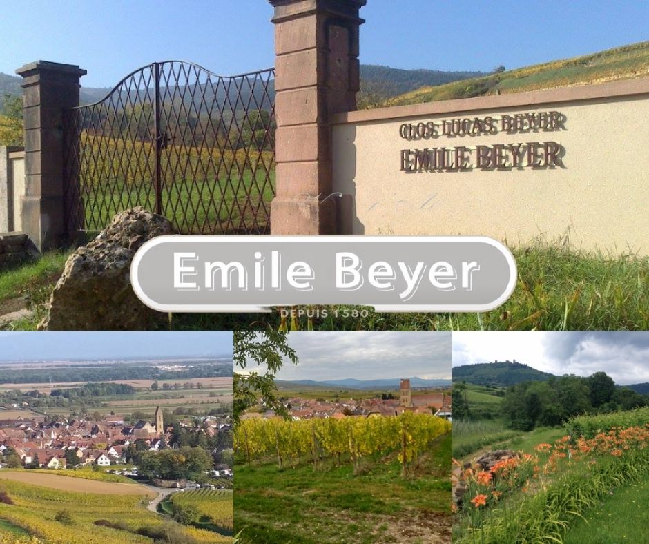 Emile Beyer, chai, vignobles