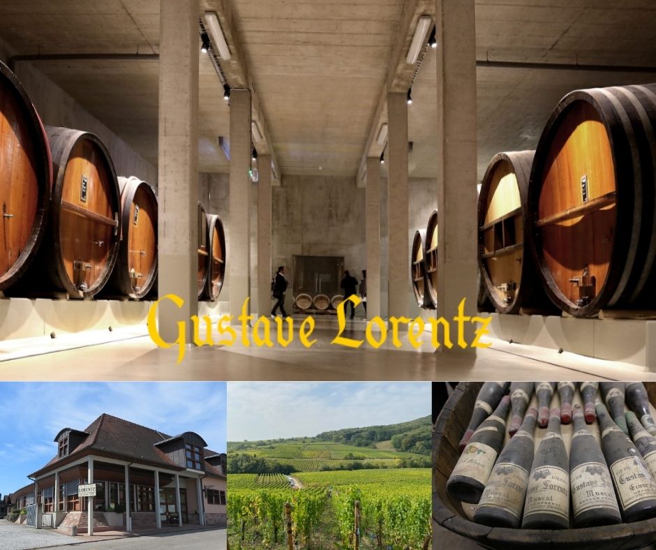 Domaine Gustave Lorentz, chai, vignobles, vieux vins