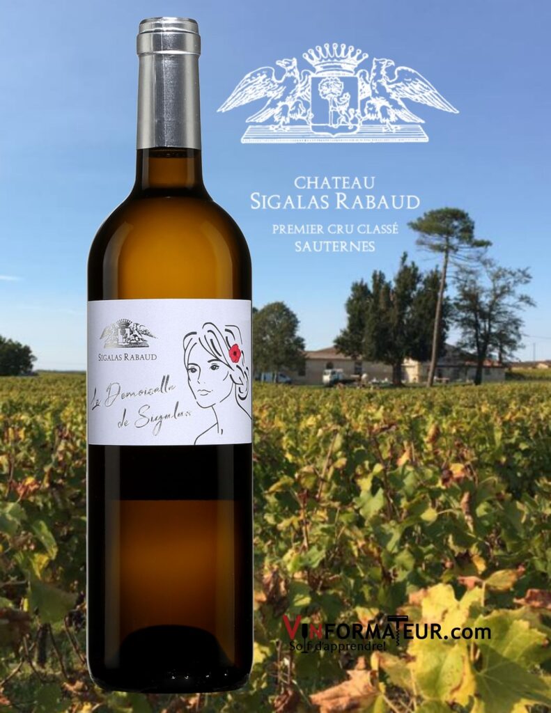Bouteille de La Demoiselle de Sigalas, France, Bordeaux, 2016 avec vignoble et chai