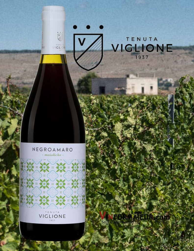 Bouteille de Tenuta Viglione, Negroamaro, maioliche, Italie, Les Pouilles, 2019 avec vignobles