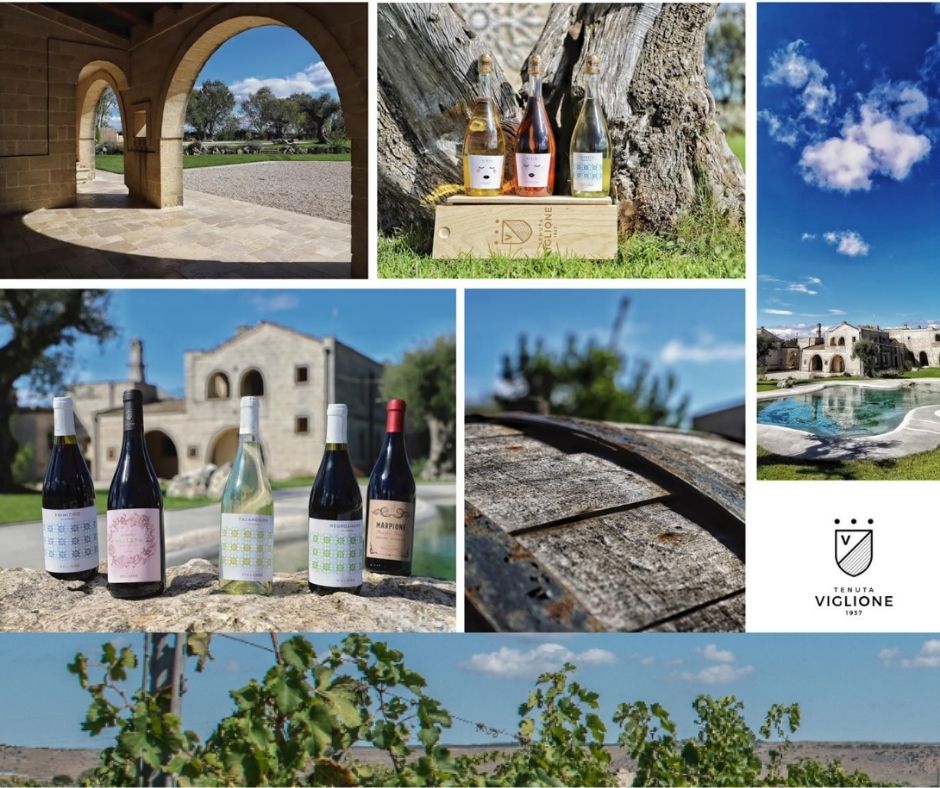 Tenuta Viglione, vins, chai, vignobles