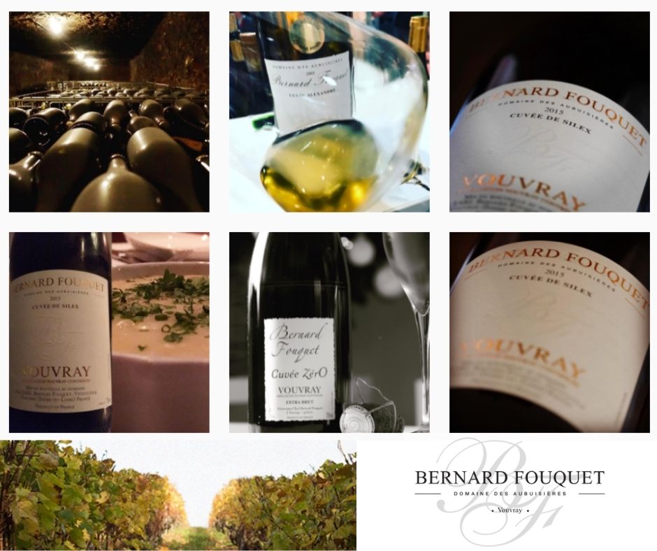 Bernard Fouquet, Domaine des Aubuissières, chai, vignobles et vins