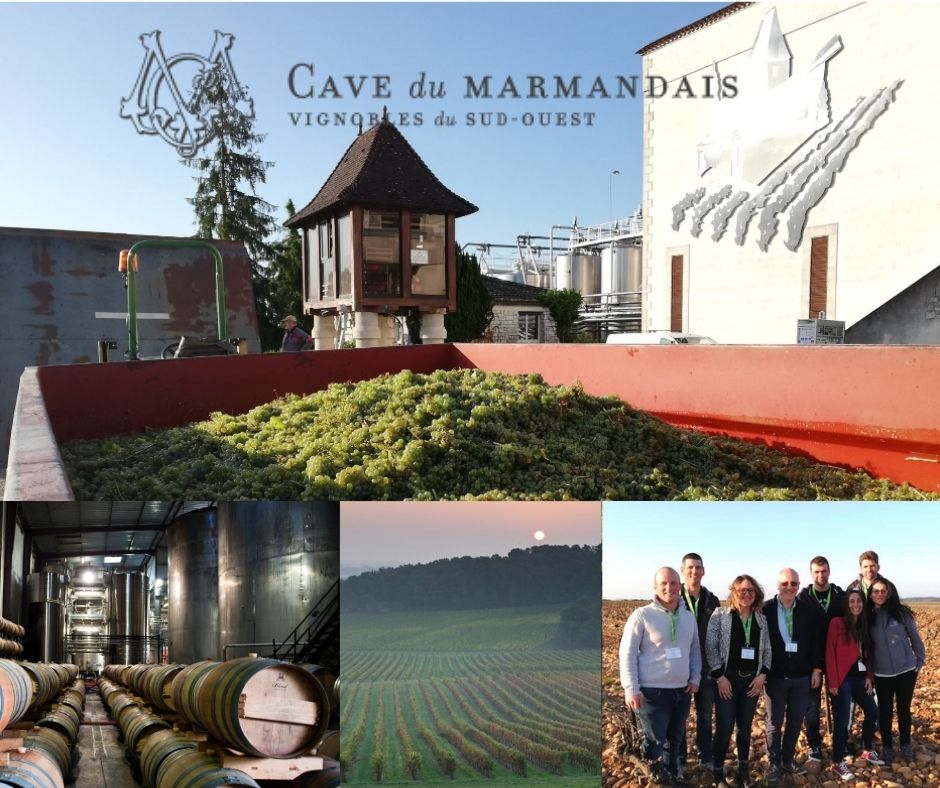 Caves du Marmandais, chai, vignobles et vignerons