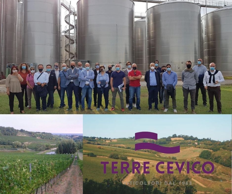 Terre Cevico, vignerons, chai, vignobles