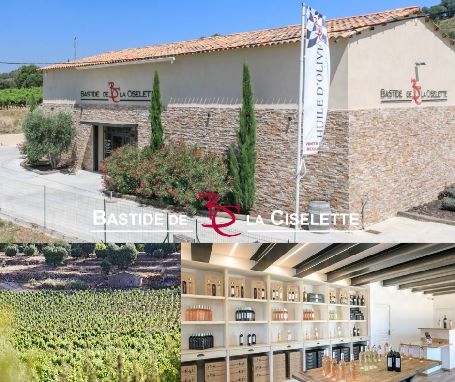 Bastide de la Ciselette, chai, vignoble