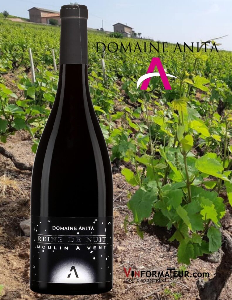 Bouteille de Reine de Nuit, Moulin-à-Vent, Beaujolais, Domaine Anita, Anita Kuhnel, 2019