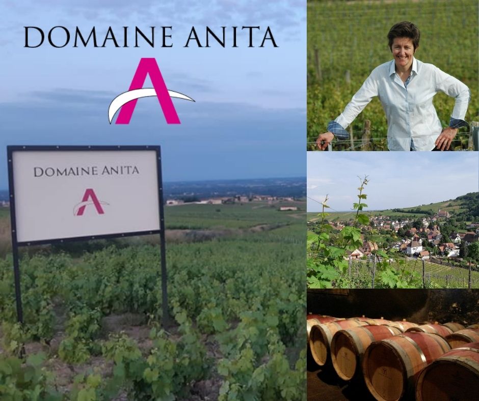 Domaine Anita: vignobles, Anita Kuhnel, chai