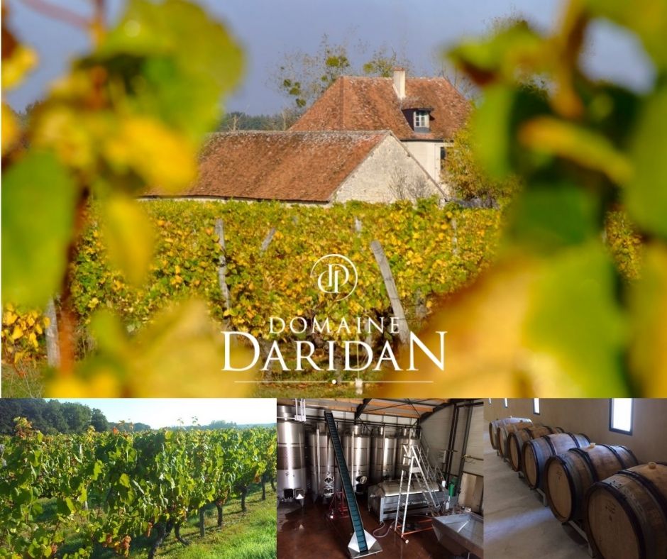 Domaine Daridan, vignobles et chai