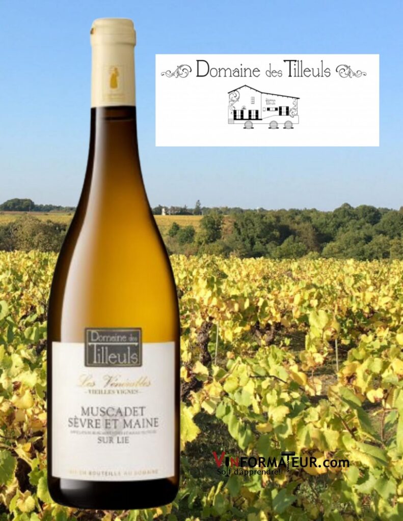 Bouteille de Domaine des Tilleuls, Les Vénérables, France, Val de Loire, Muscadet Sèvre et Maine sur lies, Vieilles Vignes, 2017 et vignobles