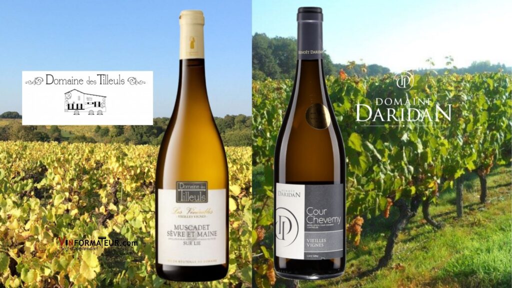 Coups de Coeur du Val de Loire!