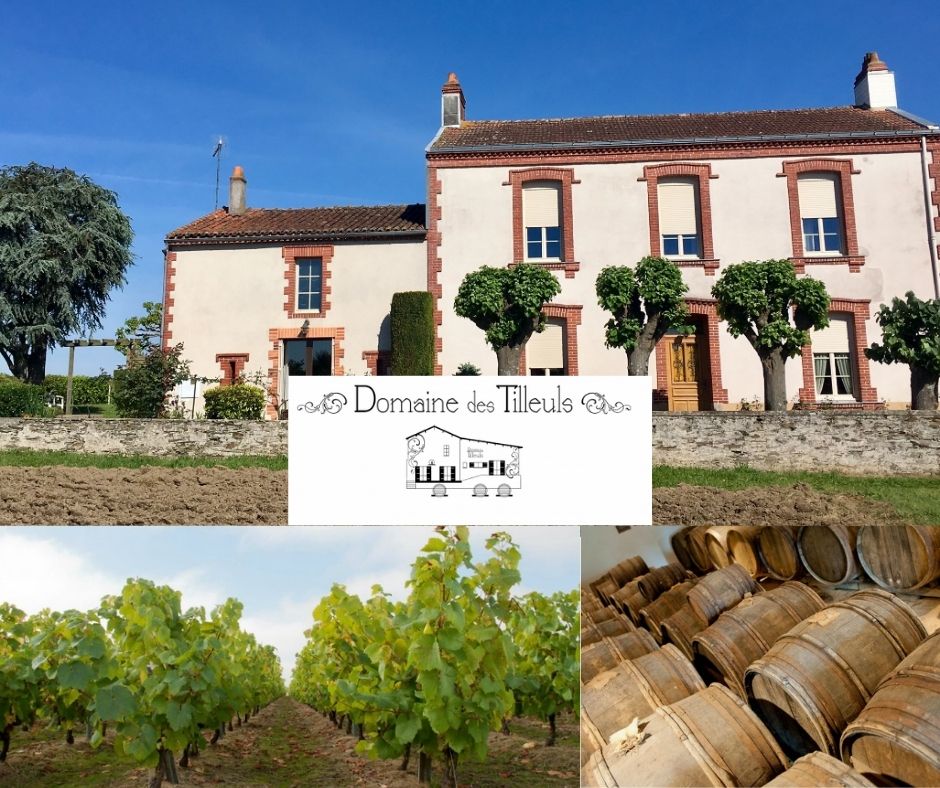 Domaine des Tilleuls, chai et vignobles