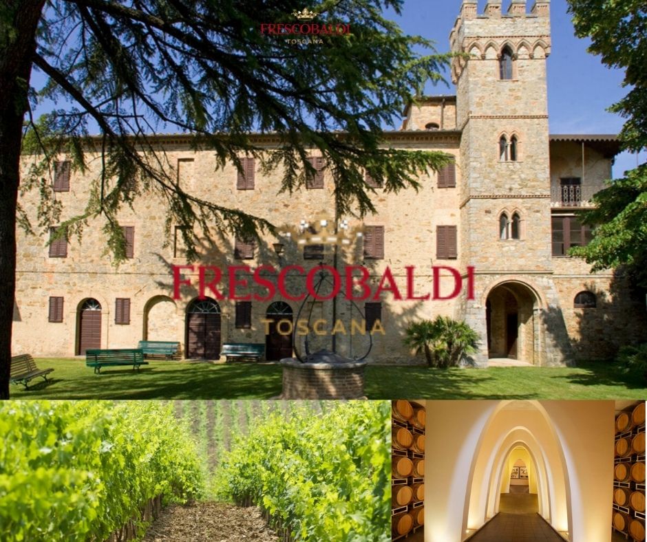 Maison Frescobaldi, château, chai et vignobles