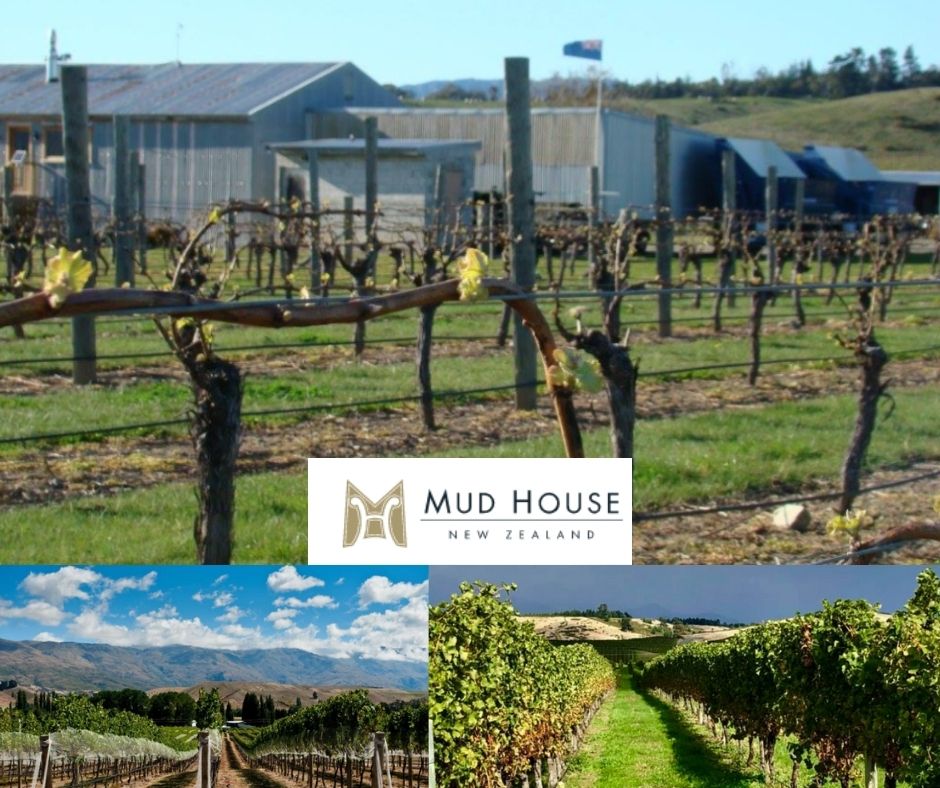 Mud House, chai et vignobles