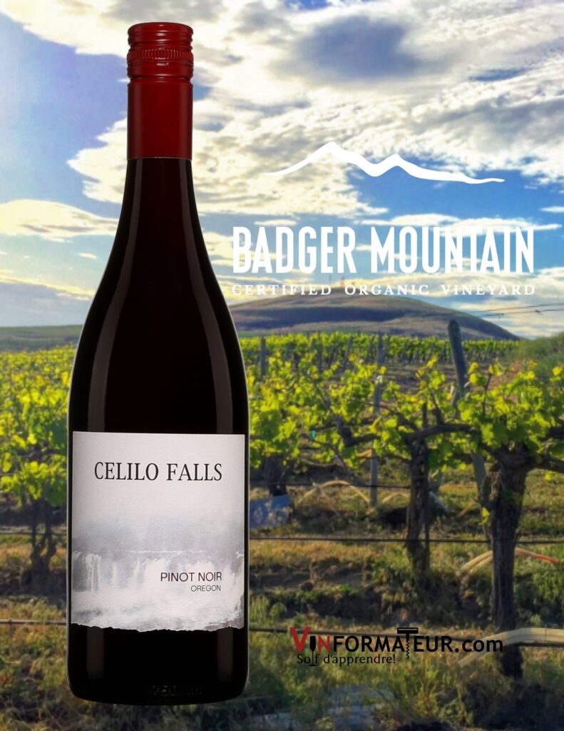 BOuteille de Pinot Noir, Celilo Falls, États-Unis, Oregon, Badger Mountain Vineyards, vin rouge bio, 2019 et vignoble