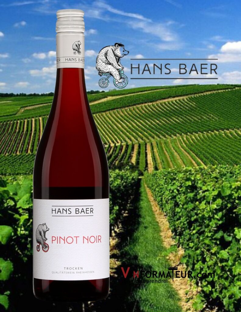 Bouteille de Pinot Noir, Hans Baer, Allemagne, Rheinhessen, Trocken, 2020 et vignoble