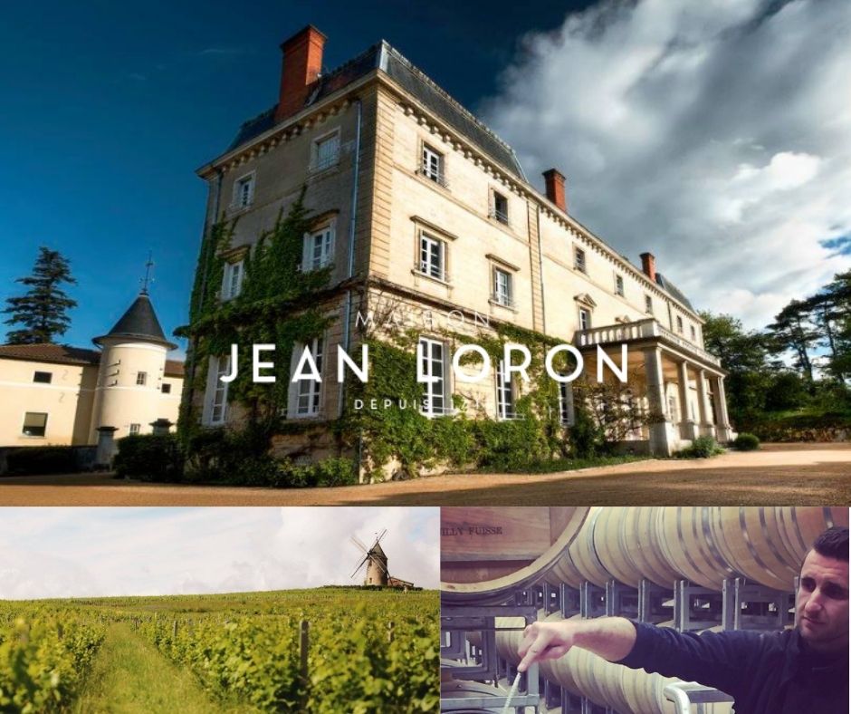 Maison Jean Loron, vignoble, chai et château