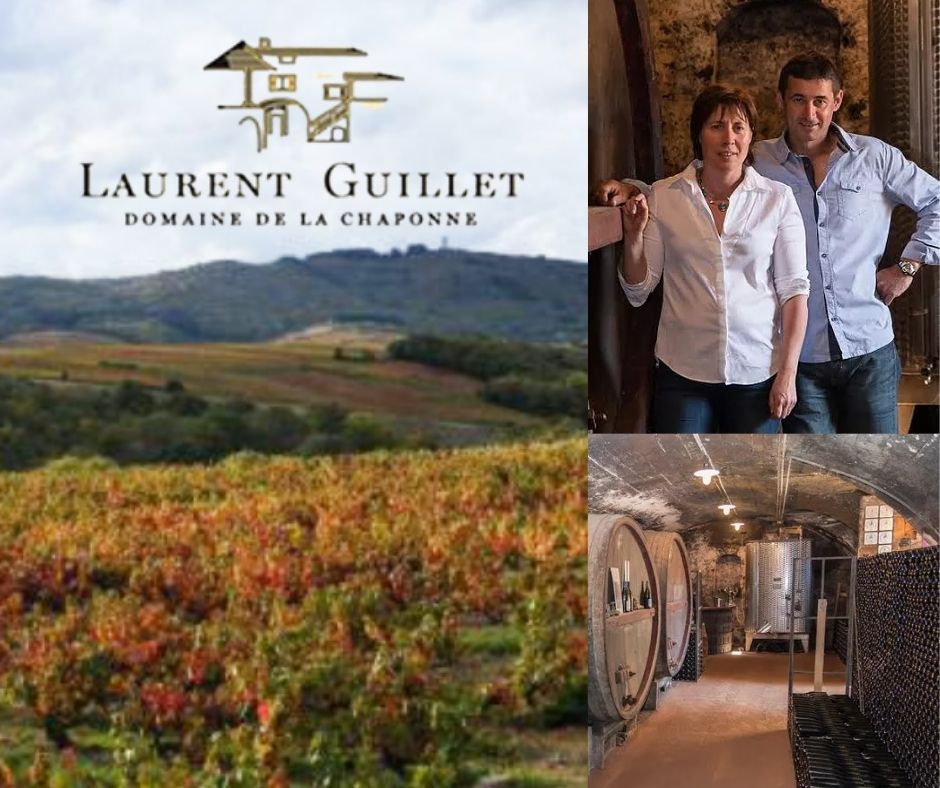 Domaine de la Chaponne: chai, Laurent et Laurence, vignobles