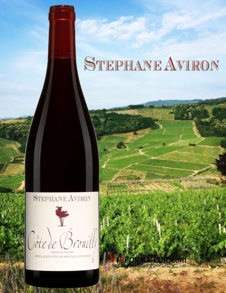 Bouteille de Stéphane Aviron, Beaujolais, Côte de Brouilly, Vieilles Vignes, 2019 et photo des vignobles