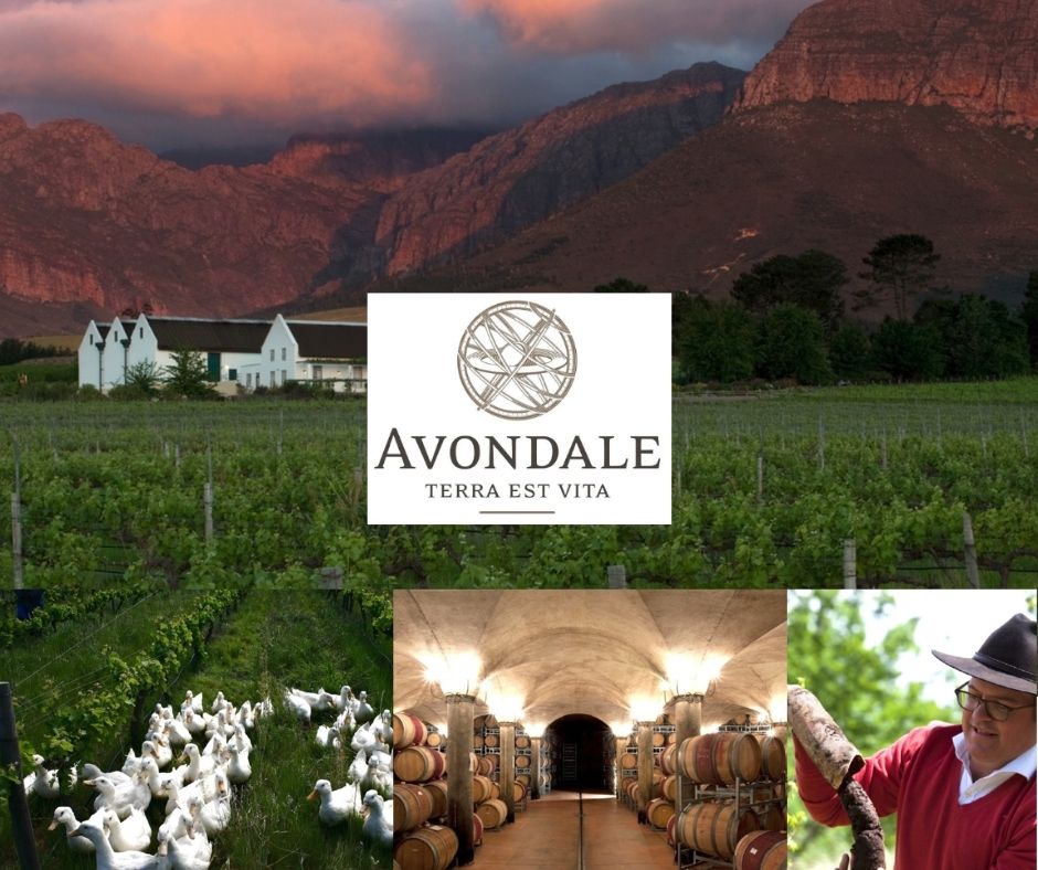 Avondale: chai, vignobles, Jonathan Grieve ''Jonty''.
