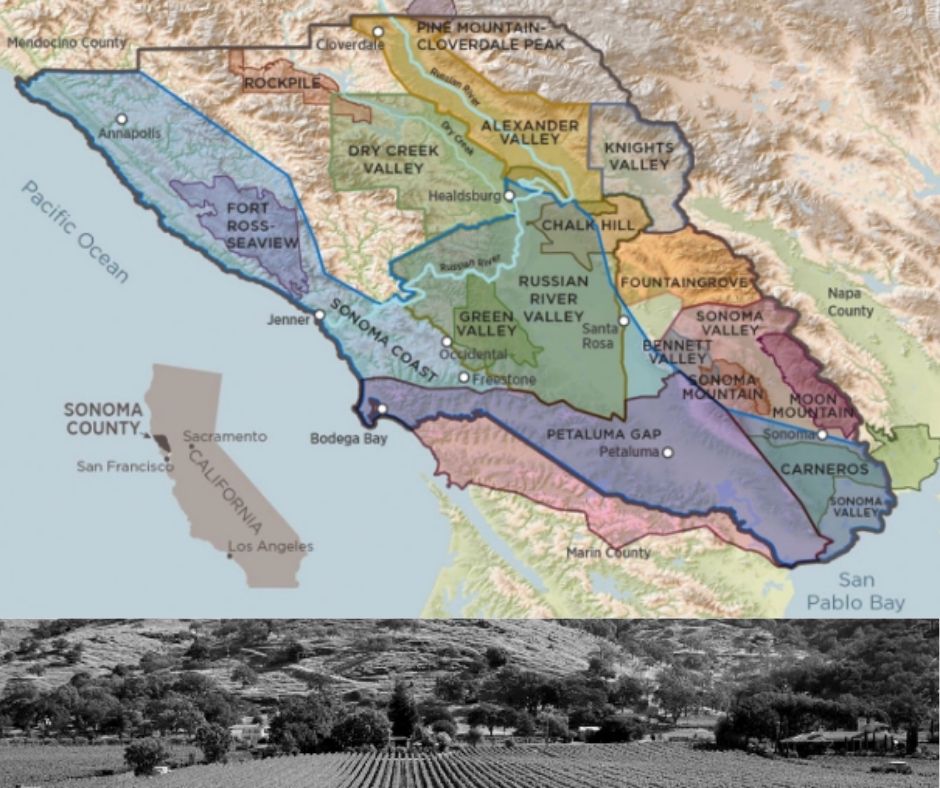 Carte viticole Sonoma