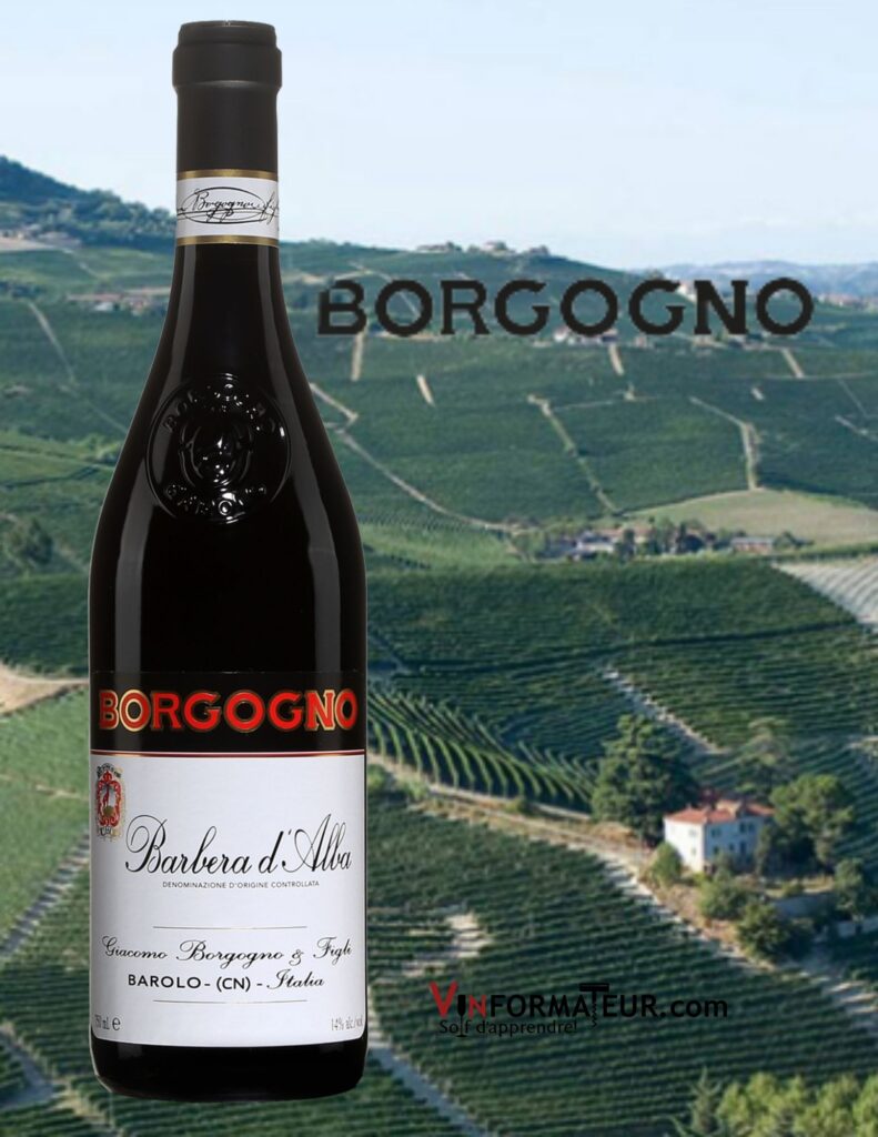 Bouteille de Borgogno, Barnera d’Alba, Italie, Piémont, Giacomo Borgogno & Figli, 2019