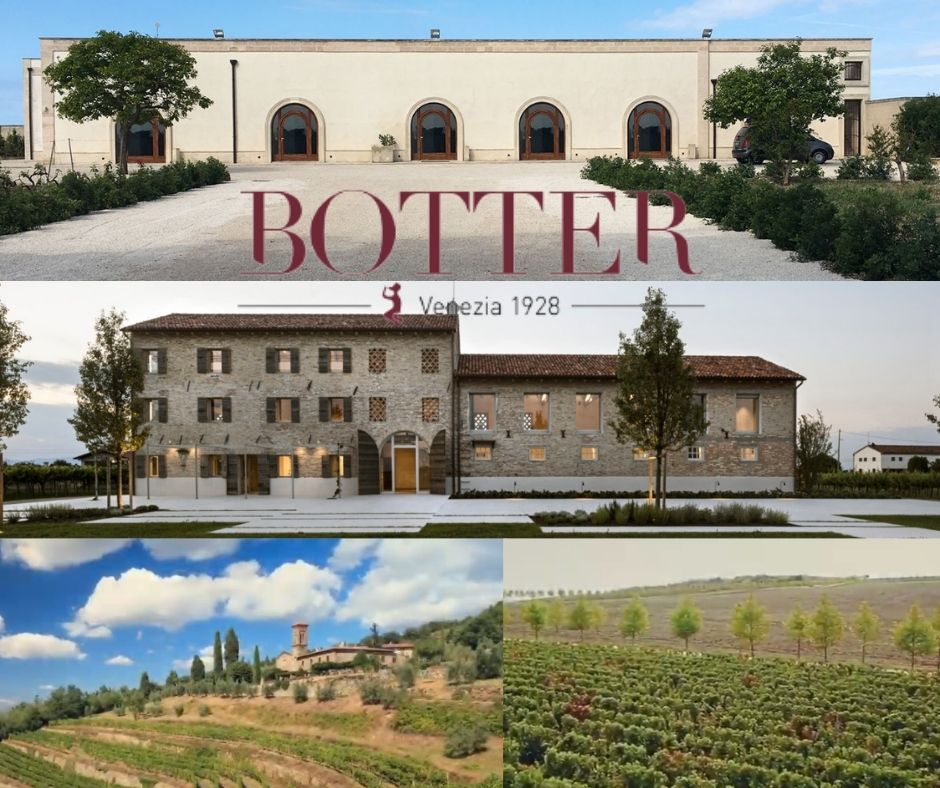 Botter: chais et vignobles