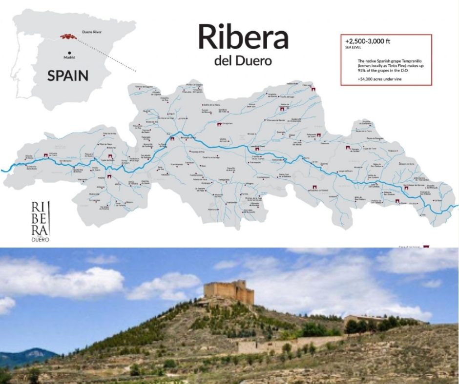 Carte viticole Ribera del Duero