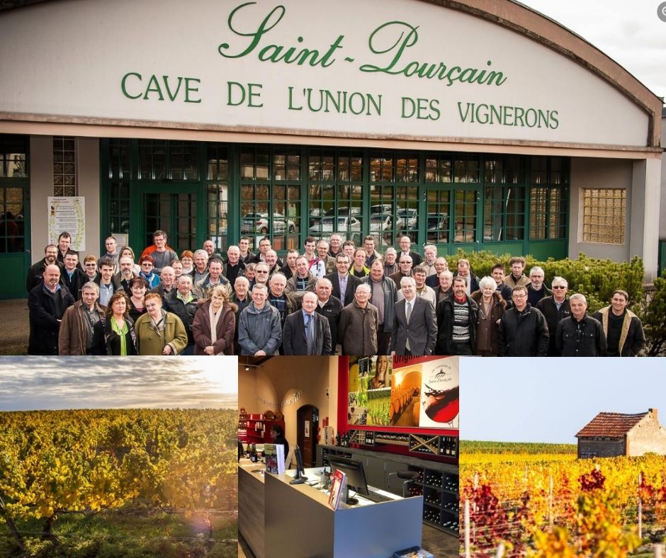 Cave de l'Union des Vignerons - Saint Pourçain: chai, vignobles et vignerons