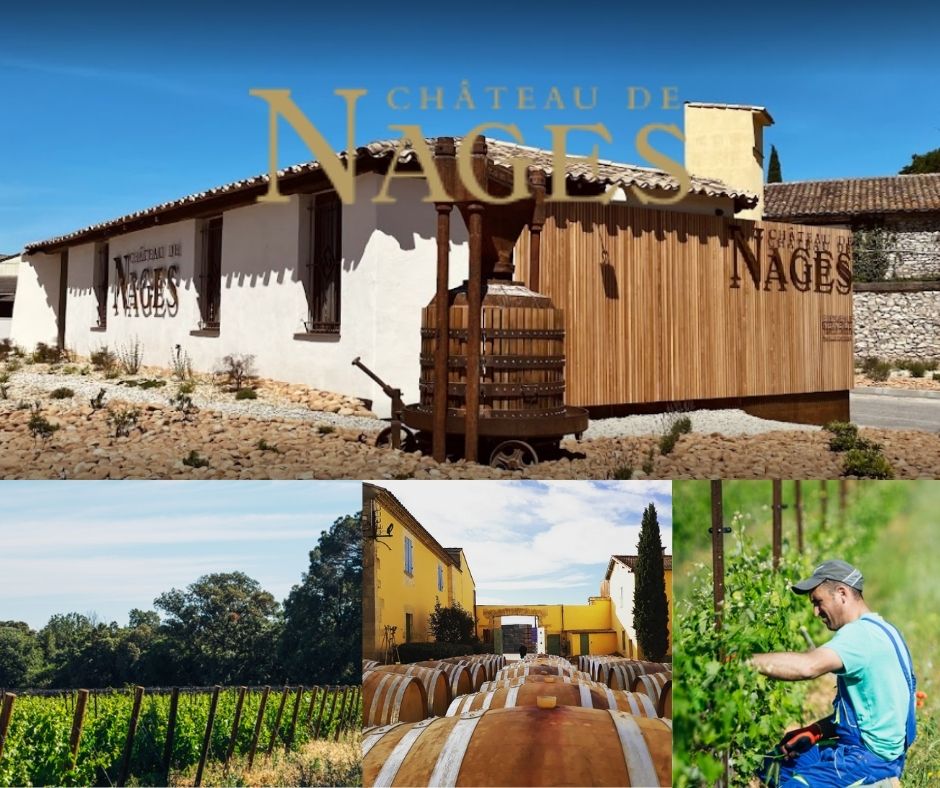 Château de Nages - Famille Gassier: chai et vignobles