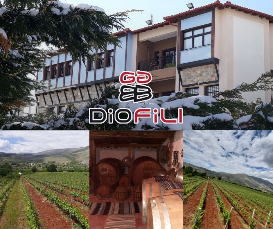 Diofili winery: chai et vignobles