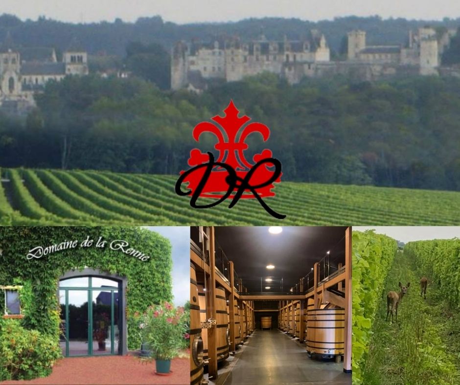 Domaine de la Renne: chai et vignobles