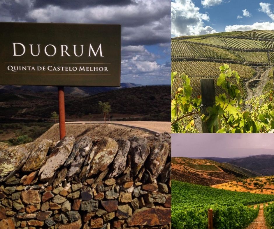 Duorum: vignobles