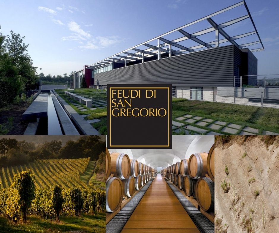 Feudi di San Gregorio: chai, vignobles