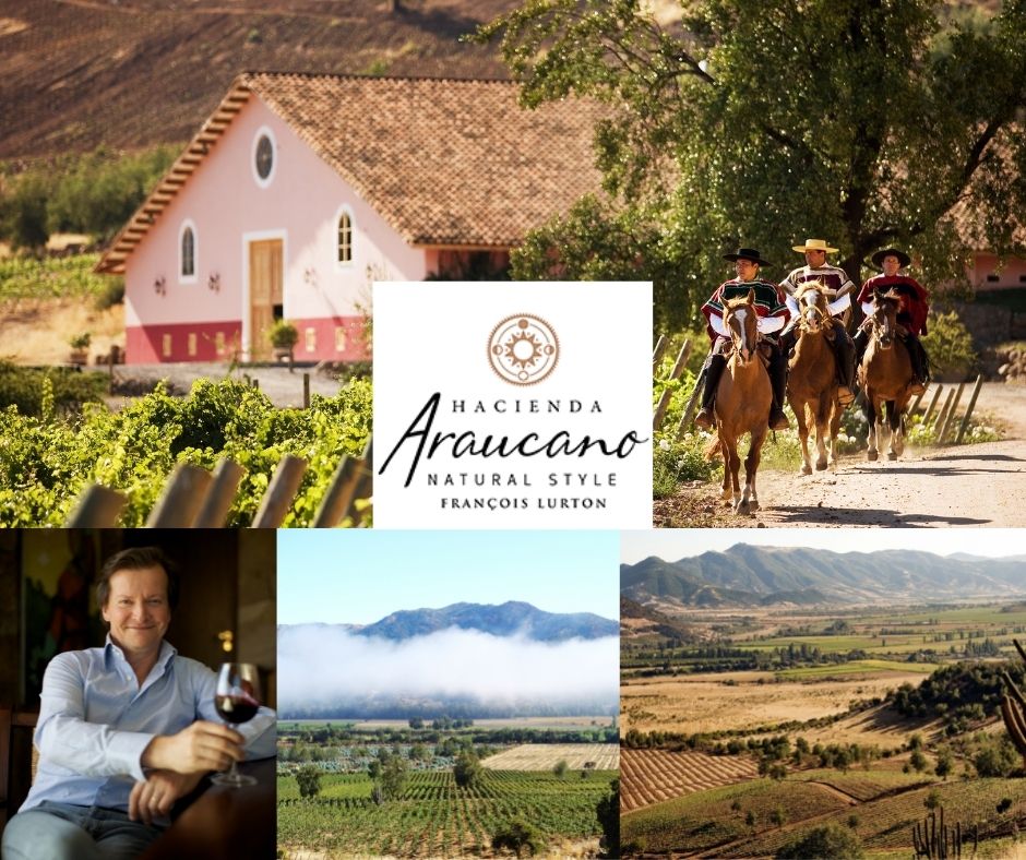 Hacienda Araucano: François Lurton, chai et vignobles