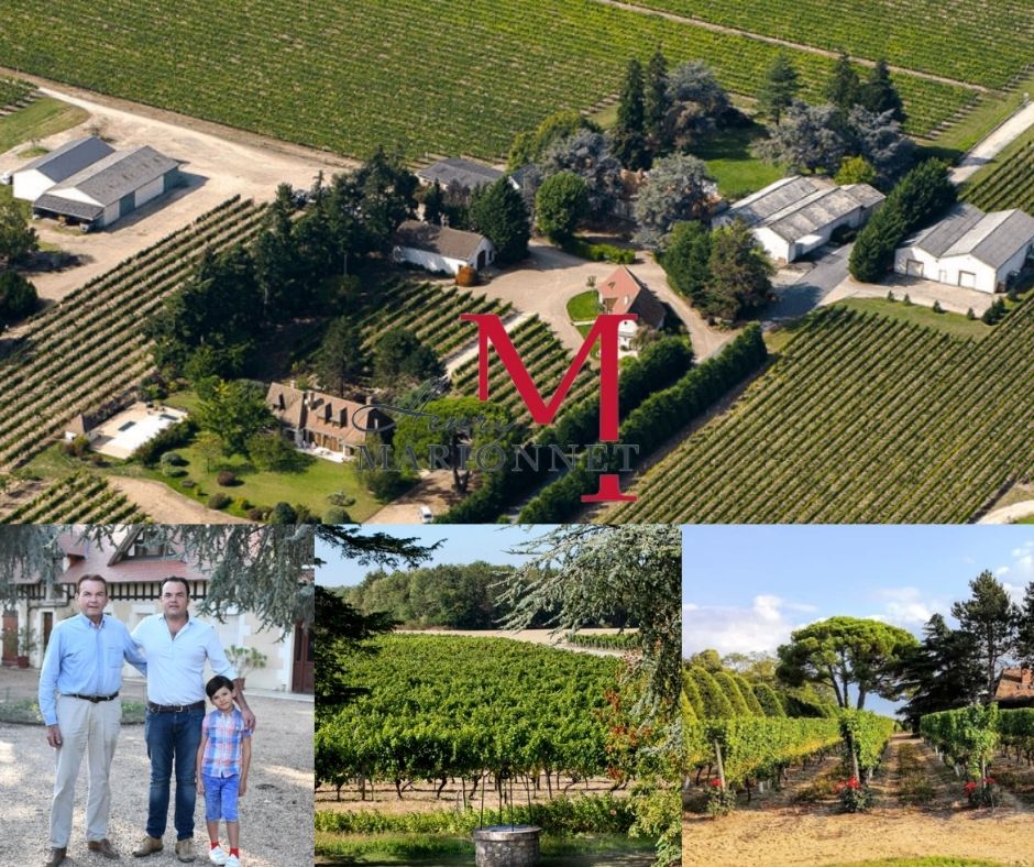 Henry Marionnet, Domaine de la Charmoise: chai, vignobles et famille Marionnet