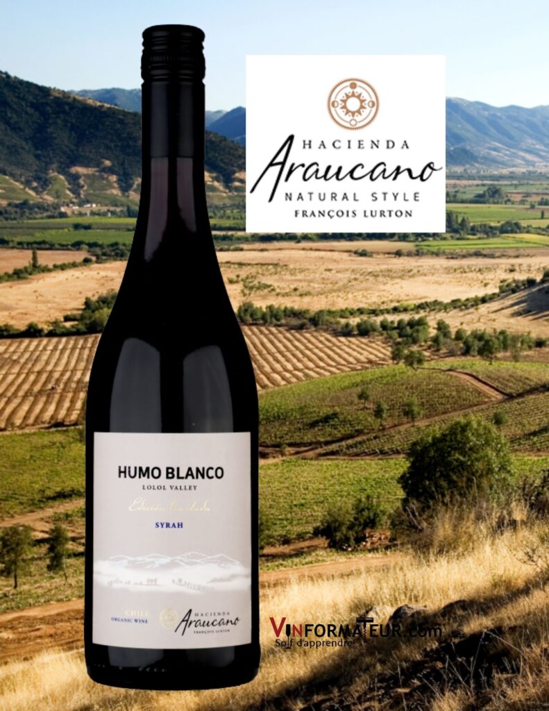 Bouteille de Humo Blanco, Syrah, Chili, Vallée de Colchagua, Vallée de Lolol, vin rouge bio, 2020