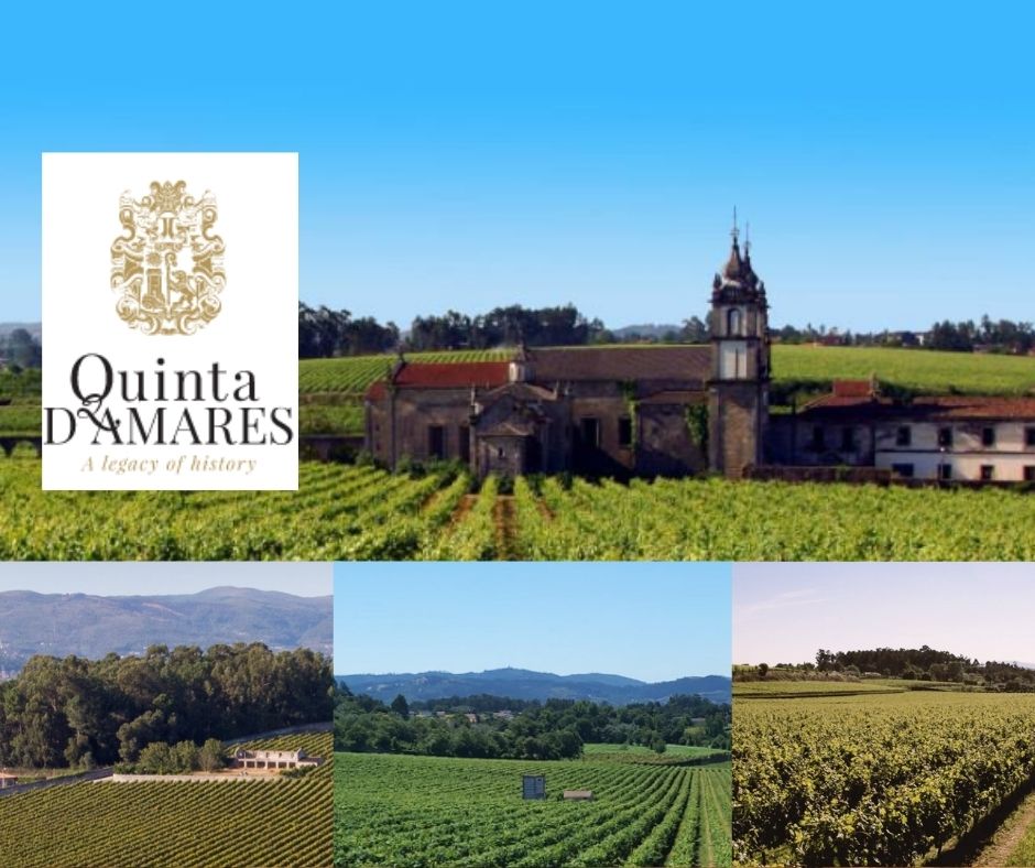 uinta d'Amares: chai, église, vignobles