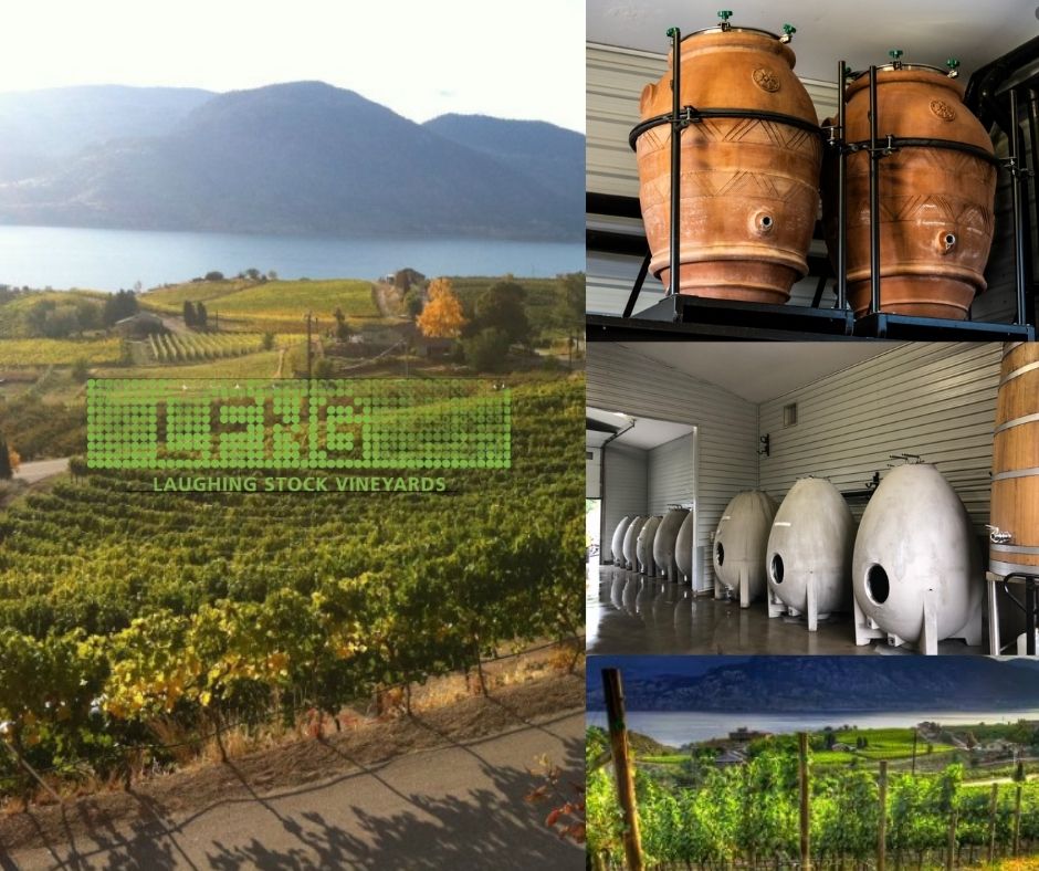 The Laughing Stock Vineyard: chai et vignobles