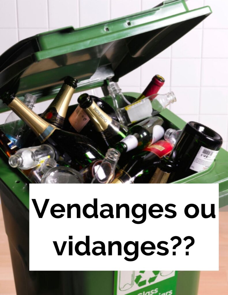 Bouteilles de vins vides au recyclage