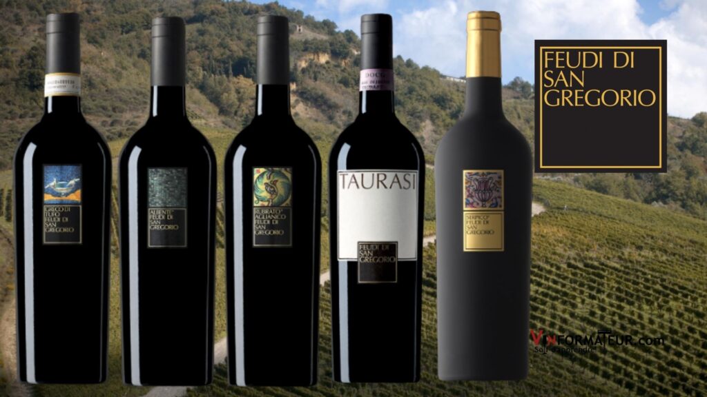 De superbes vins de la maison Feudi di San Gregorio soit Albente 2019, Greco di Tufo 2020, Rubrato 2019, Taurasi 2016 et Serpico 2014.