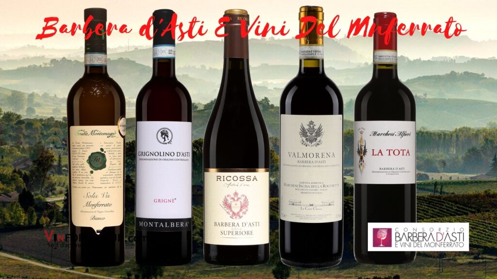 Bouteilles de Barbera d'Asti Monferrato: Solis Vis 2020, Montalbera Grigné 2020, Ricossa Superiore 2018, Valmorena 2019, La Tota 2019.