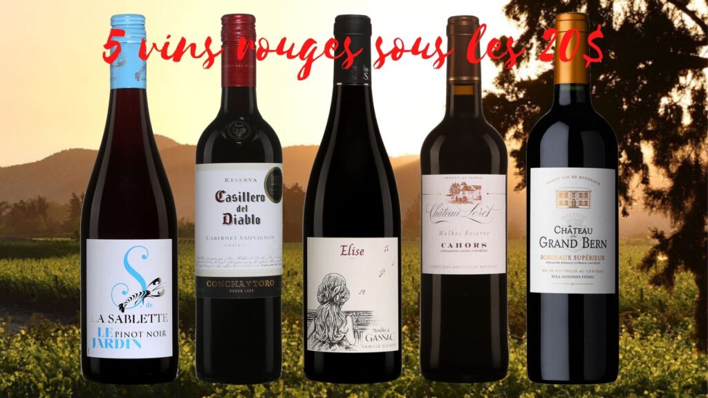 Cinq suggestions de vins rouges sous la barre des 20$!