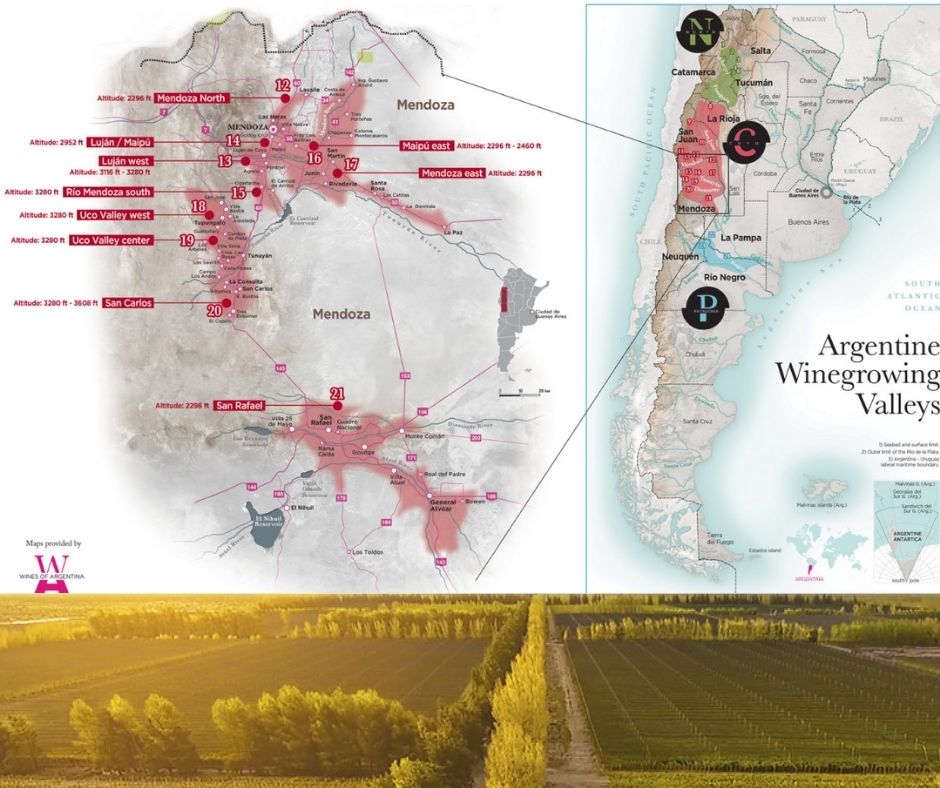 Carte viticole Mendoza Argentine