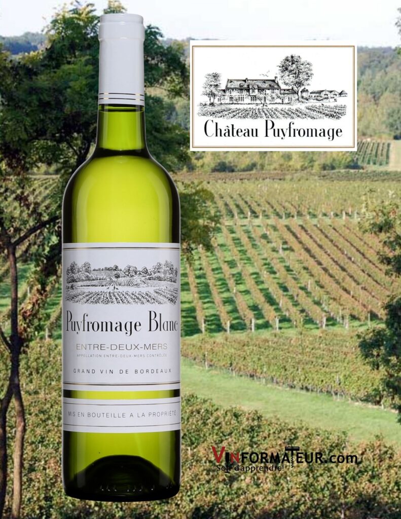 Bouteille de Château Puyfromage, Bordeaux, Entre-Deux-Mers, vin blanc, 2020