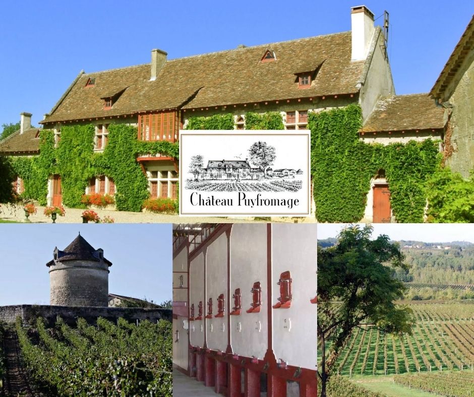Château Puyfromage: château, chai et vignobles